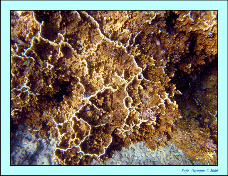 2005 - 08 - Redang  - 140.JPG